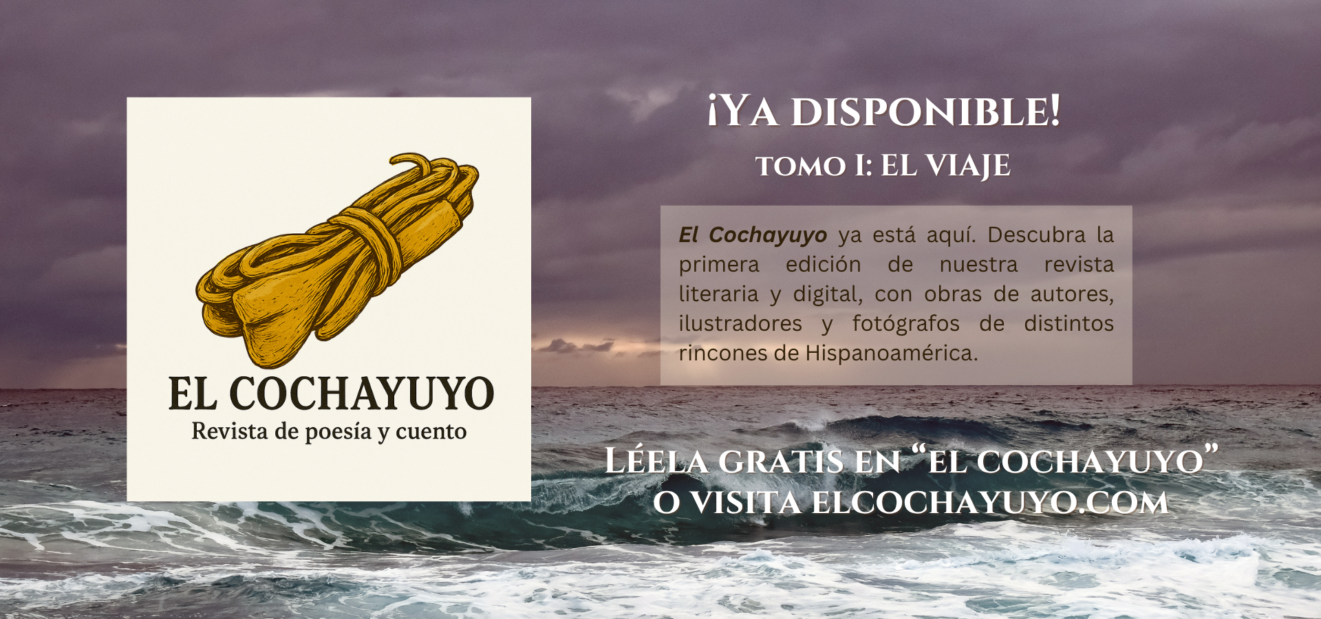 Banner lanzamiento Cochayuyo