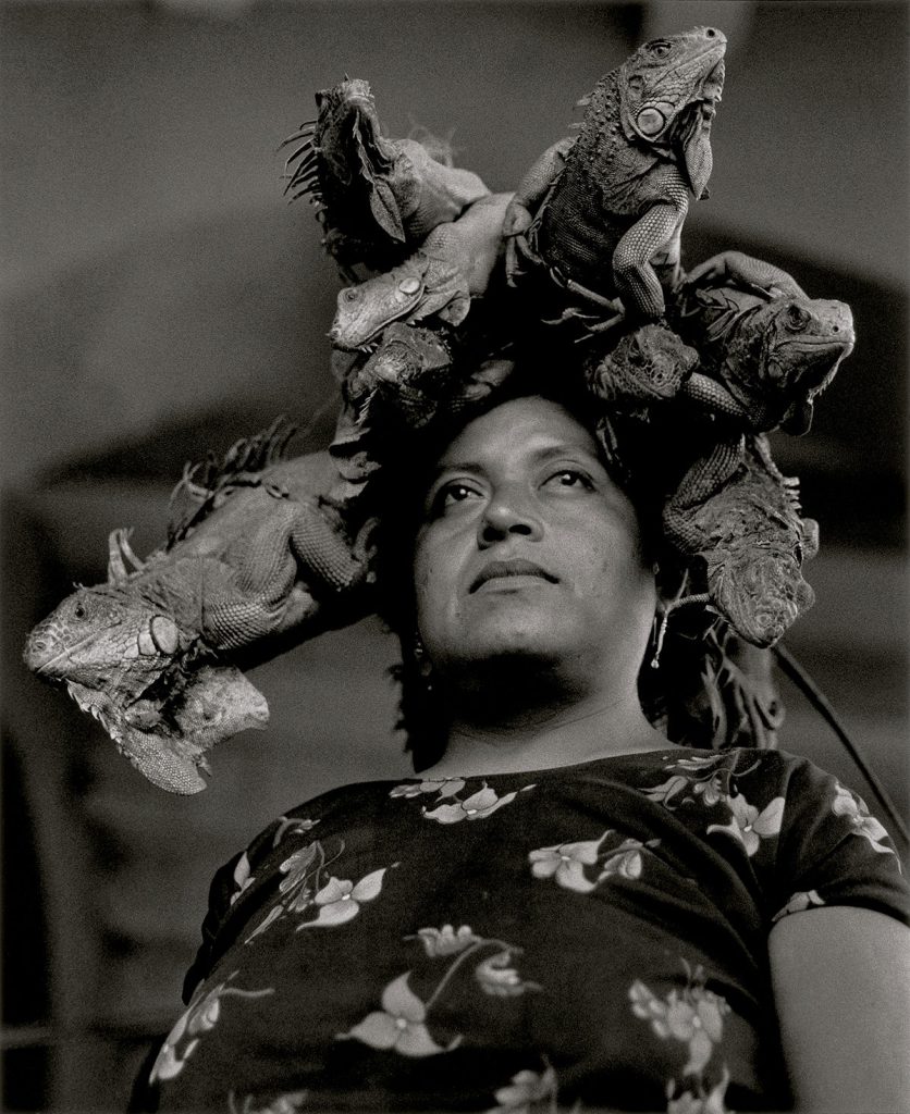 Nuestra señora de las iguanas, Graciela Iturbide (1979).