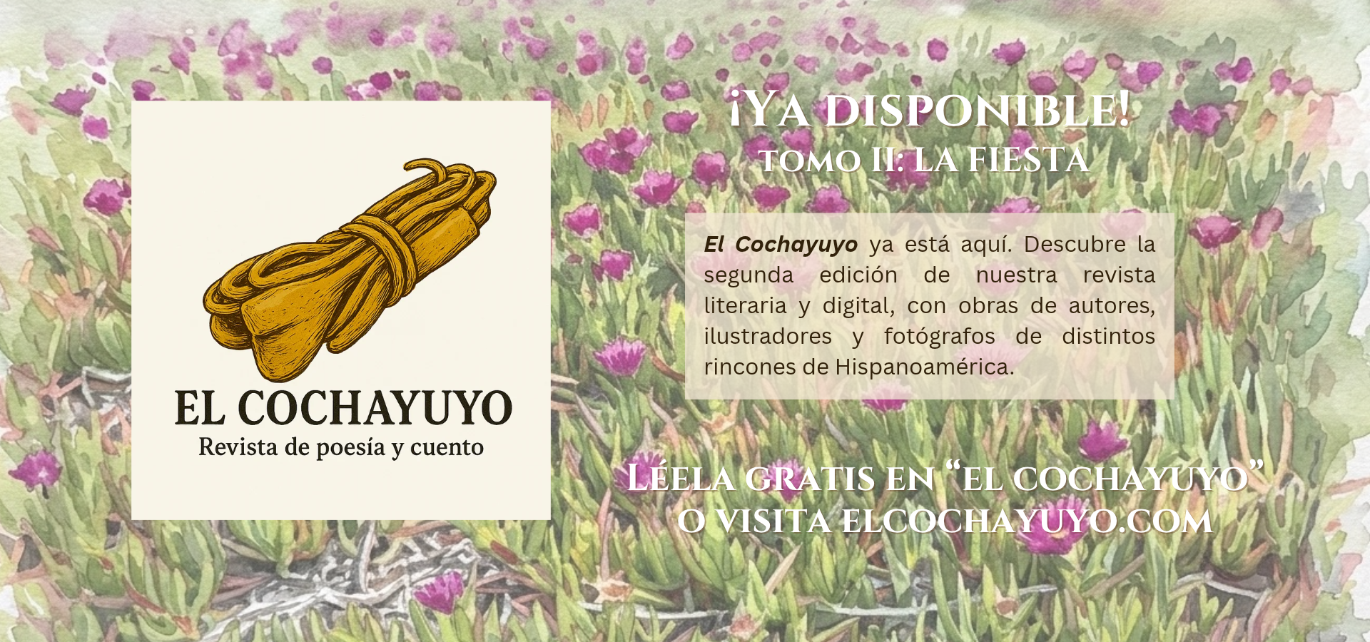 Banner lanzamiento Cochayuyo II